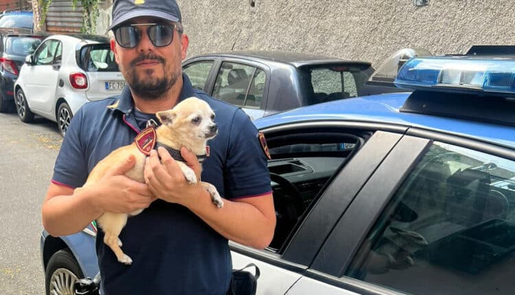 Genova: cagnolino sventa un furto in appartamento