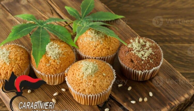 Monza: mangiano torta alla marijuana e vedono i fantasmi.