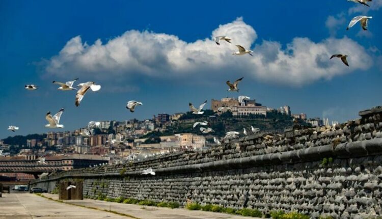 Napoli, al via il progetto del Molo San Vincenzo: prevista la firma del contratto il 10 luglio.