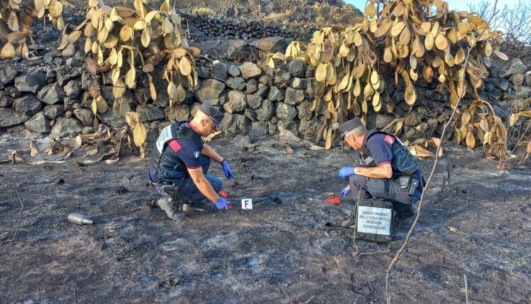 Pantelleria: i carabinieri forestali deferiscono all'autorità giudiziaria il presunto responsabile di un incendio boschivo sull'isola