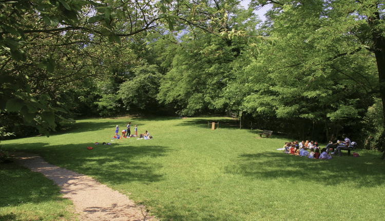 Verso un Piano del verde: l'approvazione dal Comune di Trento per tutelare il patrimonio di boschi, parchi, giardini e aiuole