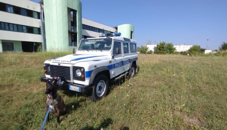 Modena: droga sotto un frigorifero abbandonato, sequestrati 44 grammi grazie ai cani antidroga