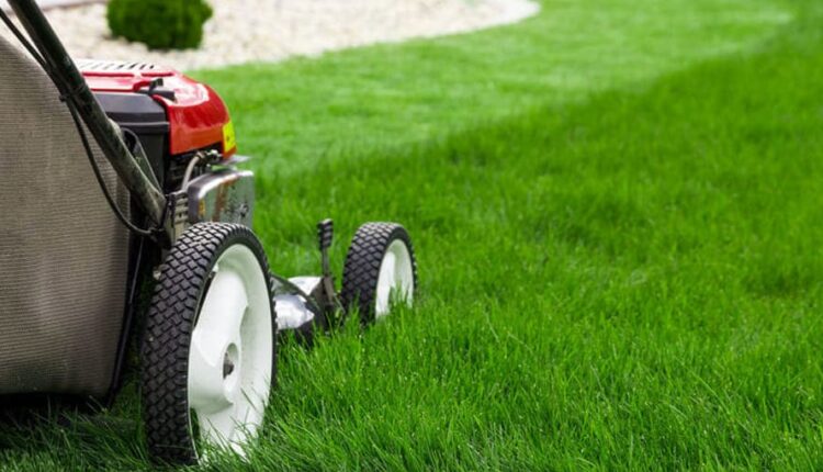 Scegliere il tagliaerba, a cosa far attenzione e perché