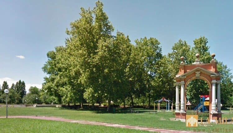 Modena, disagi e problemi igienico-sanitari per i troppi conigli nel parco XXII Aprile. Trasferiti in un’azienda agricola