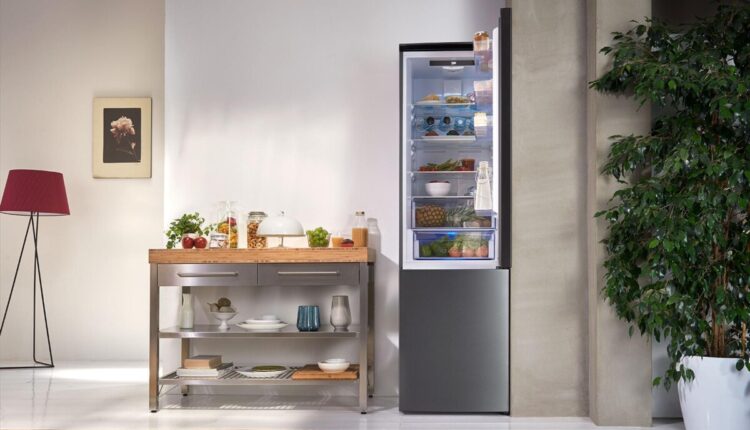 Modena: ai giardini d'estate "l'invenzione del frigorifero".  