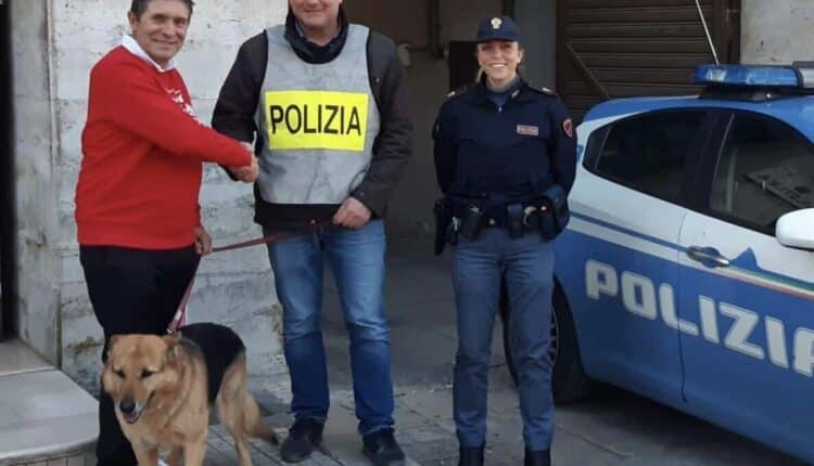 Lecce, la Polizia di Stato affida ad una famiglia un cucciolo di pastore tedesco di nome Rocky dopo un maltrattamento subito nel 2015.