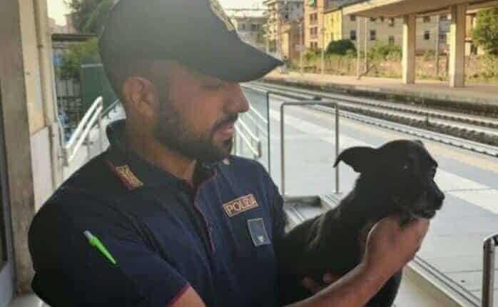 Il cane ritrovato dalla Polfer di Chiavari