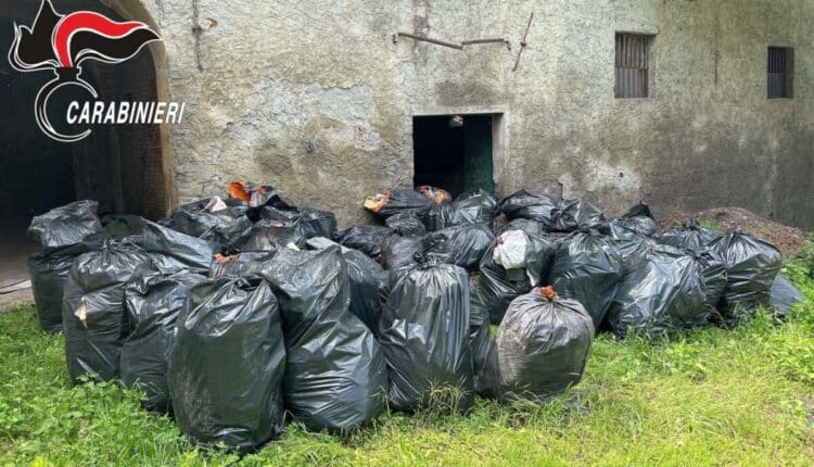 Alessandria: individuato dai Carabionieri Forestali l’autore dell’abbandono di rifiuti a Novi Ligure.