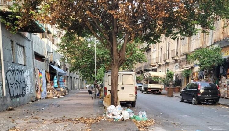 Catania: multati una decina di cittadini incivili mentre gettano rifiuti su un albero.