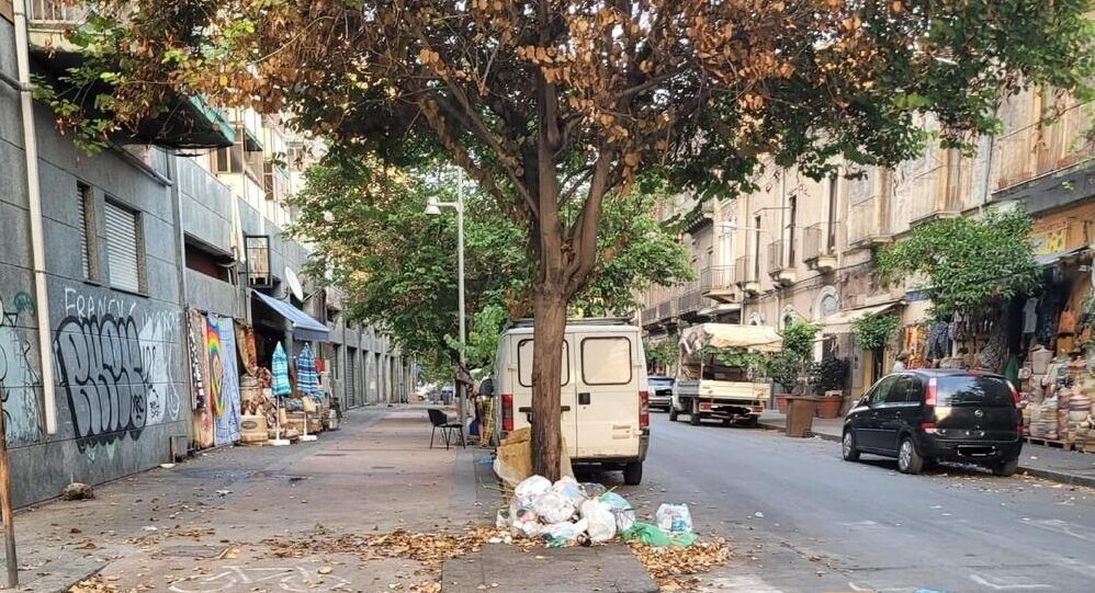 Catania: multati una decina di cittadini incivili mentre gettano rifiuti su un albero.