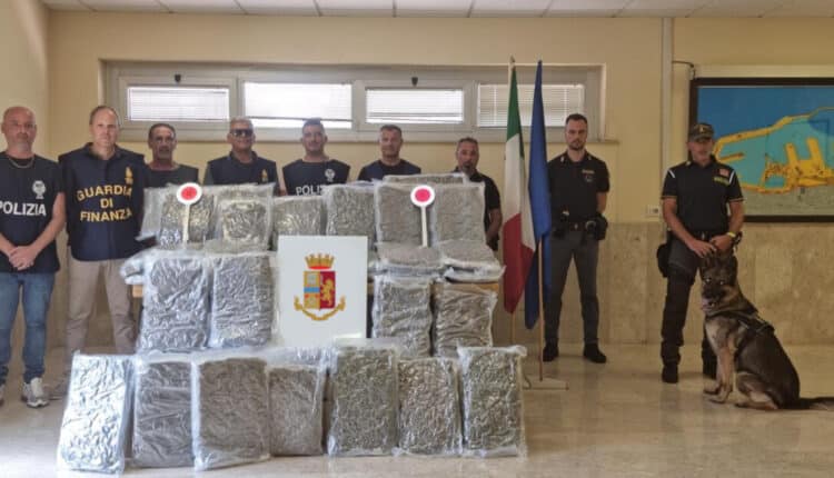 11 scatole di marijuana intercettate in un autoarticolato, arrestato l’autista per traffico internazionale di stupefacenti