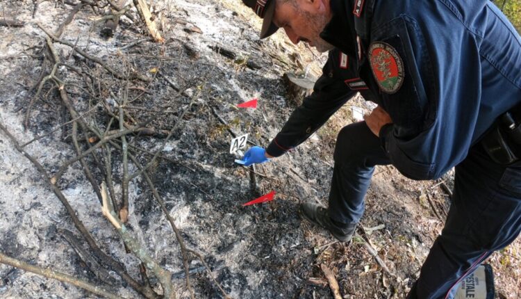 Firenze: accende un fuoco per cuocere del cibo e provoca un incendio.