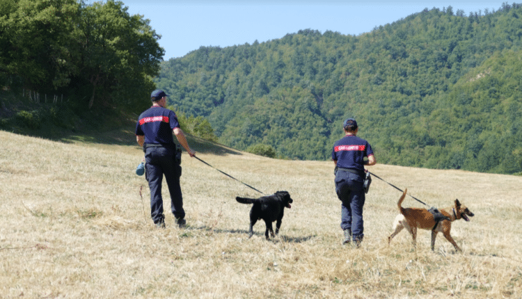 Firenze: nel Comune di Marradi i Carabinieri forestali fanno intervenire i cani del reparto antiveleno