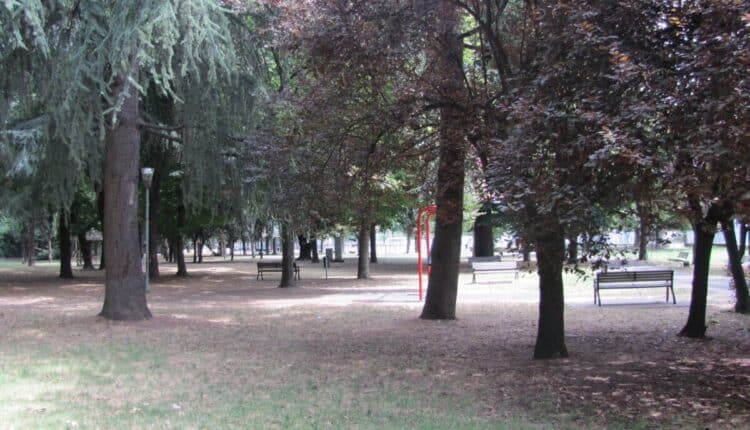 Modena: il parco XXII aprile si rinnova, quattro interventi al via.