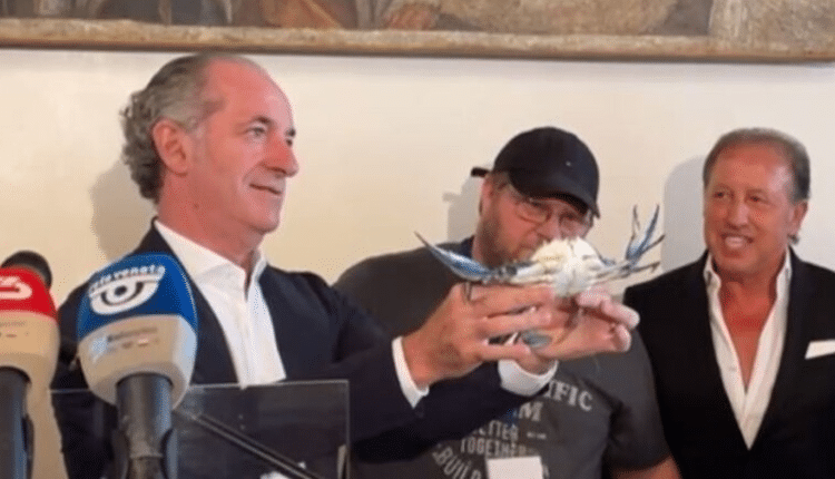 Nei mercati di Caorle, Venezia, Chioggia, Donada, Pila e Scardovari dall’inizio dell’anno sono stati venduti 149.685 kg di Granchi Blu. Zaia: "In Veneto più di 150 tonnellate già destinate al consumo. Battaglia da condurre ad ogni livello, per aiutare i nostri pescatori".