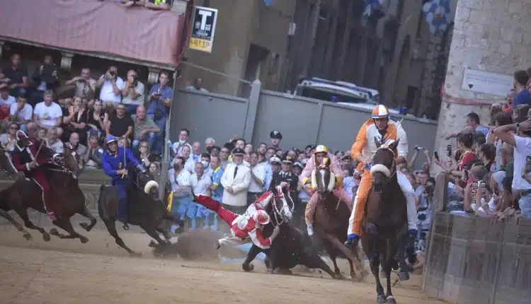 Palio di Siena, Oipa: "Due cavalli infortunati, chi ama gli animali chiede lo stop, grottesco che qualcuno lo voglia patrimonio dell'UNESCO".