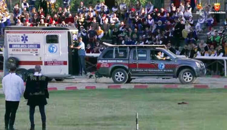 E' morta la cavalla infortunata ieri alla Quintana di Ascoli. OIPA: "Circuito mortale. Basta Palii e Quintane"