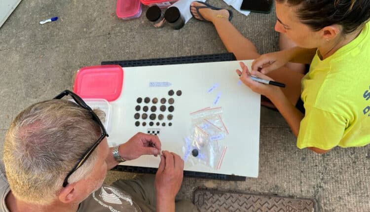 Regione Sicilia: nuovi ritrovamenti archeologici dal sito della battaglia delle Egadi