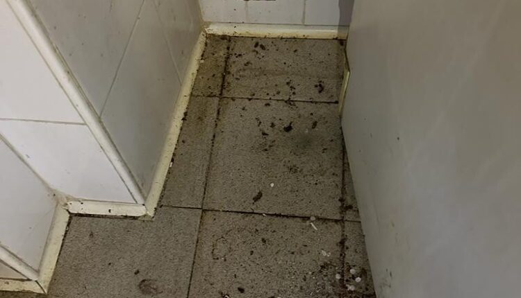 Torino: chiuso un locale etnico in Via Melchiorre Gioia per carenze igienico sanitarie e 7000 euro di sanzioni.