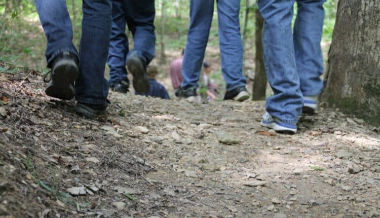 Trento: "Biblioteca nel bosco" e "Ad alta voce", due progetti in partenza per concludere l'estate all'insegna dell'arte e dello studio in compagnia.