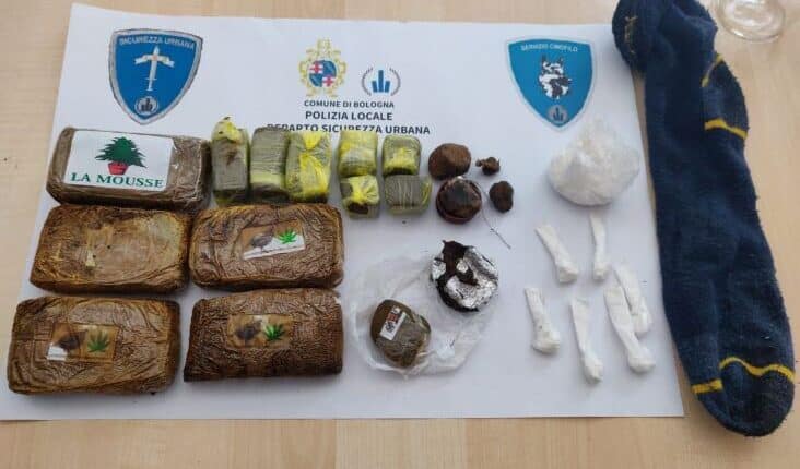 rinvenimento-sostanza-stupefacente-cane-ares-1