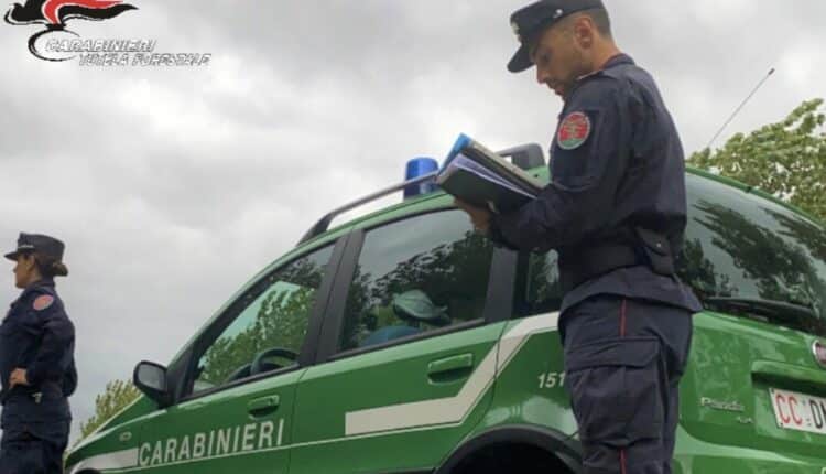 carabinieri