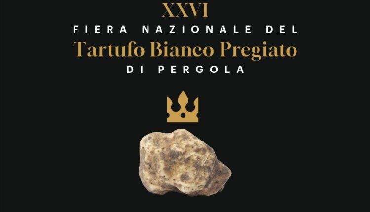 Pergola: La XXVI edizione della Fiera Nazionale del Tartufo Bianco Pregiato si terrà le prime tre domeniche di ottobre