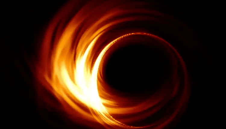 Trieste: sabato 23 settembre alle 15.30 al Museo di Storia Naturale imperdibile appuntamento dedicato ai buchi neri per appassionati di astronomia e astrofisica