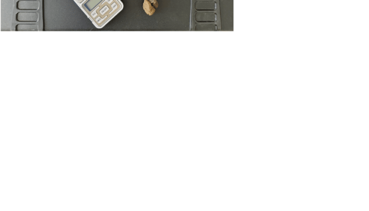 Cecina (Livorno) : l’attività antidroga dei Carabinieri porta all’individuazione e l’arresto di un 17enne. in casa trovata la lista di possibili “clienti”, una pistola ad aria compressa molto simile ad un’arma autentica ed un pugnale.