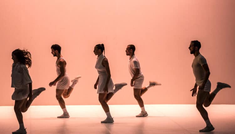 Bari: dal 14 al 29 novembre il cartellone autunnale di Dab Danzabari