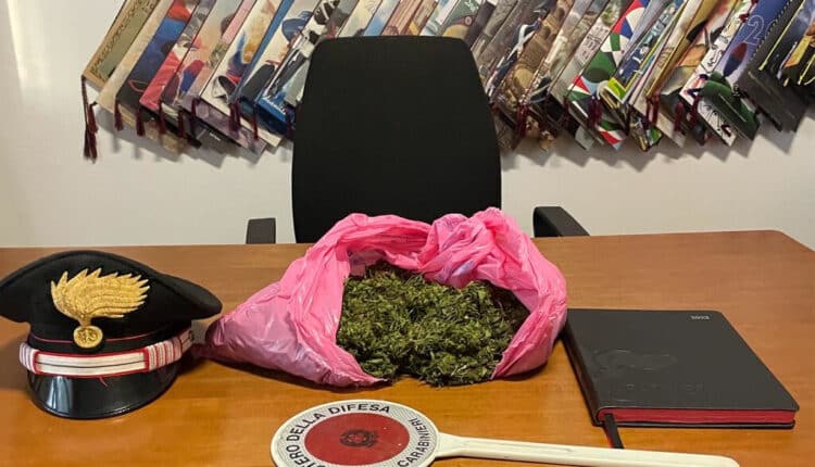 Bologna: 520 grammi di marijuana sequestrati dai Carabinieri, denunciato un 66enne italiano