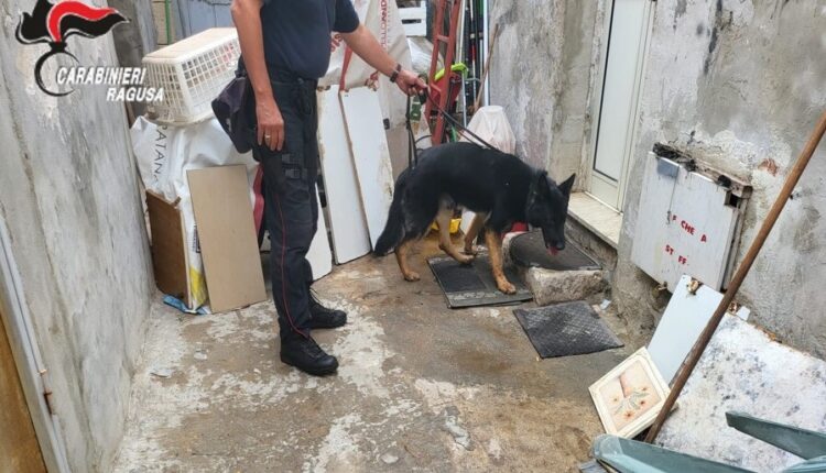 Ispica (Ragusa): due giovani ispicesi denunciati in stato di libertà per spaccio di sostanze stupefacenti.