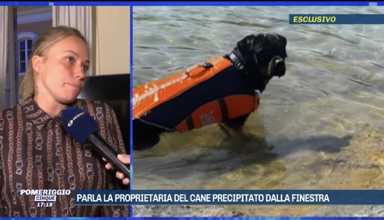 A Pomeriggio Cinque parla per la prima volta Emilia, la padrona del cane precipitato dal terzo piano