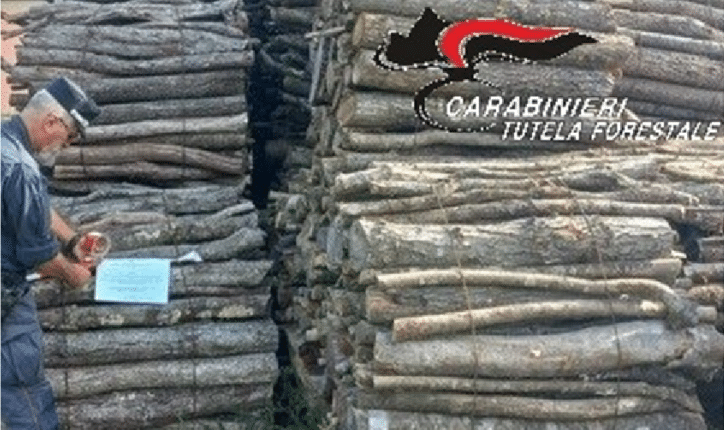 Cecina (Livorno) – Carabinieri forestali denunciano un imprenditore per sottrazione di legna sequestrata.