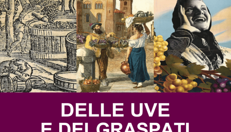 Trento: “Delle uve e dei graspati”, mostra sulla storia della viticultura in Trentino