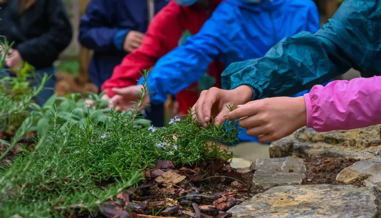 Domenica 8 ottobre a Cagliari si celebra l’ "Urban Nature 2023".