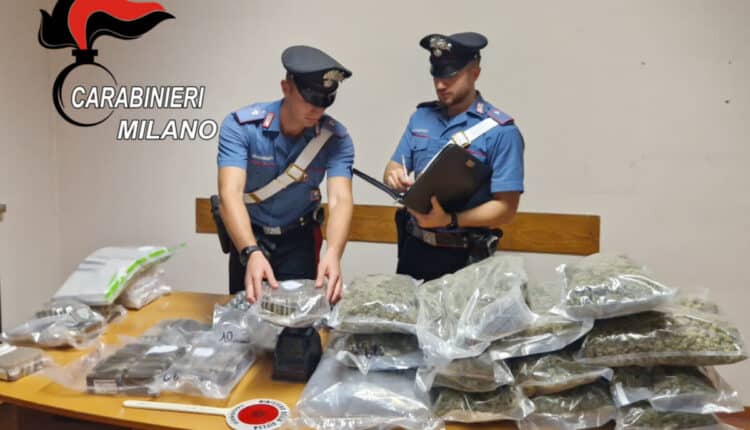 Milano: due arresti per detenzione ai fini di spaccio. Recuperati dai carabinieri 46 kg tra hashish e marijuana.