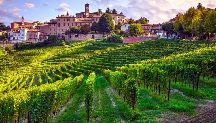 Cuneo: fermato l’autore del tentato omicidio avvenuto a manta il 4 ottobre 2023.