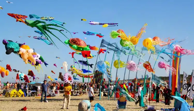 Cagliari: presentazione della prima “Festa internazionale dell'aquilone”.
