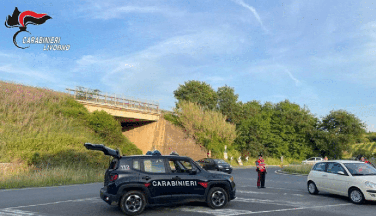 Cecina(Livorno): individuato e denunciato il presunto responsabile di una truffa online di una vendita di un attrezzo agricolo ma poi, mai avvenuta.