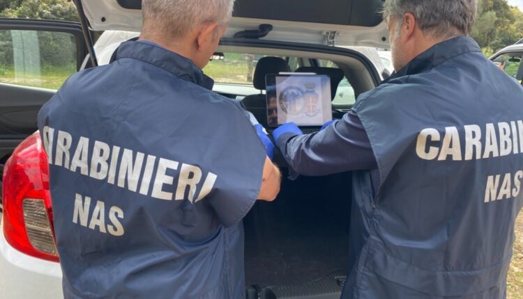 Sassari, sicurezza alimentare. Sequestrati 320 kg di alimenti carnei edittici ad un’attività di Ristorazione Nuorese.