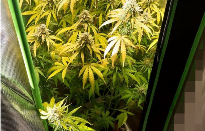 20231106 Foto CC Bologna