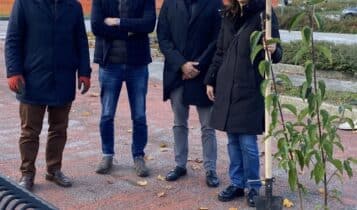 Evento di piantumazione collettiva, 260 nuovi alberi e arbusti messi a dimora da cittadini volontari