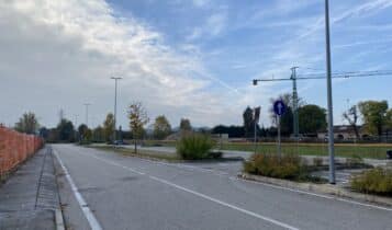 Evento di piantumazione collettiva, 260 nuovi alberi e arbusti messi a dimora da cittadini volontari