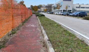 Evento di piantumazione collettiva, 260 nuovi alberi e arbusti messi a dimora da cittadini volontari