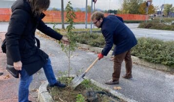 Evento di piantumazione collettiva, 260 nuovi alberi e arbusti messi a dimora da cittadini volontari