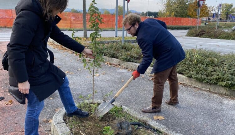 Evento di piantumazione collettiva, 260 nuovi alberi e arbusti messi a dimora da cittadini volontari