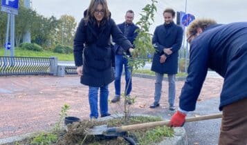 Evento di piantumazione collettiva, 260 nuovi alberi e arbusti messi a dimora da cittadini volontari