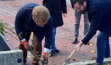 Evento di piantumazione collettiva, 260 nuovi alberi e arbusti messi a dimora da cittadini volontari