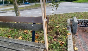 Evento di piantumazione collettiva, 260 nuovi alberi e arbusti messi a dimora da cittadini volontari